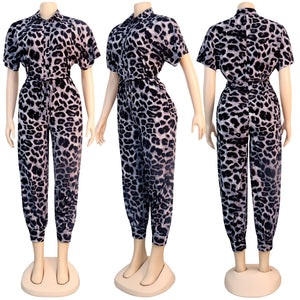 Leopard Turndown Collar Short Sleeve Jumpsuit
