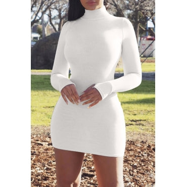Turtleneck Skinny White Mini Dress